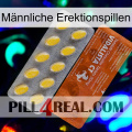 Männliche Erektionspillen 42